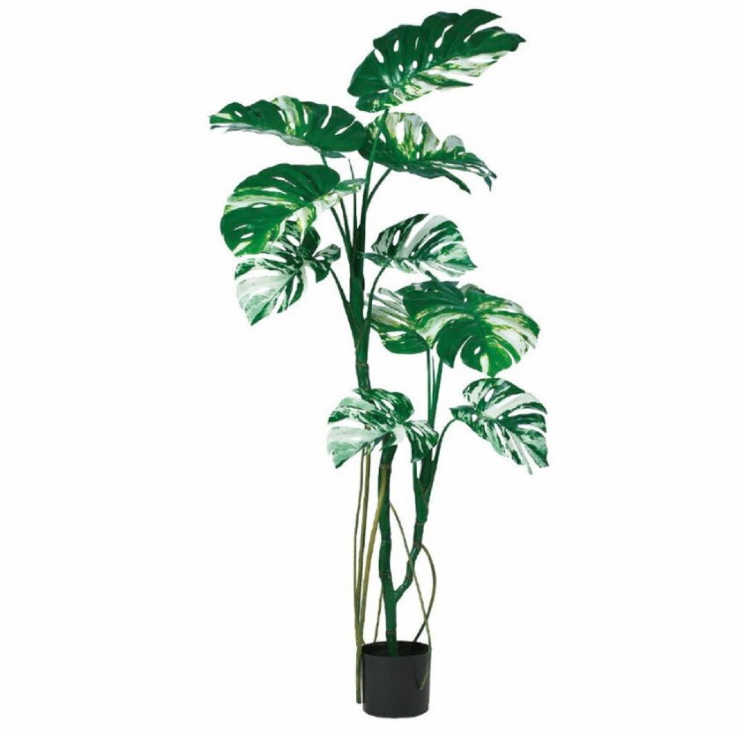 光触媒　人工観葉植物　ウォールグリーン　フェイクグリーン　モンステラポット145