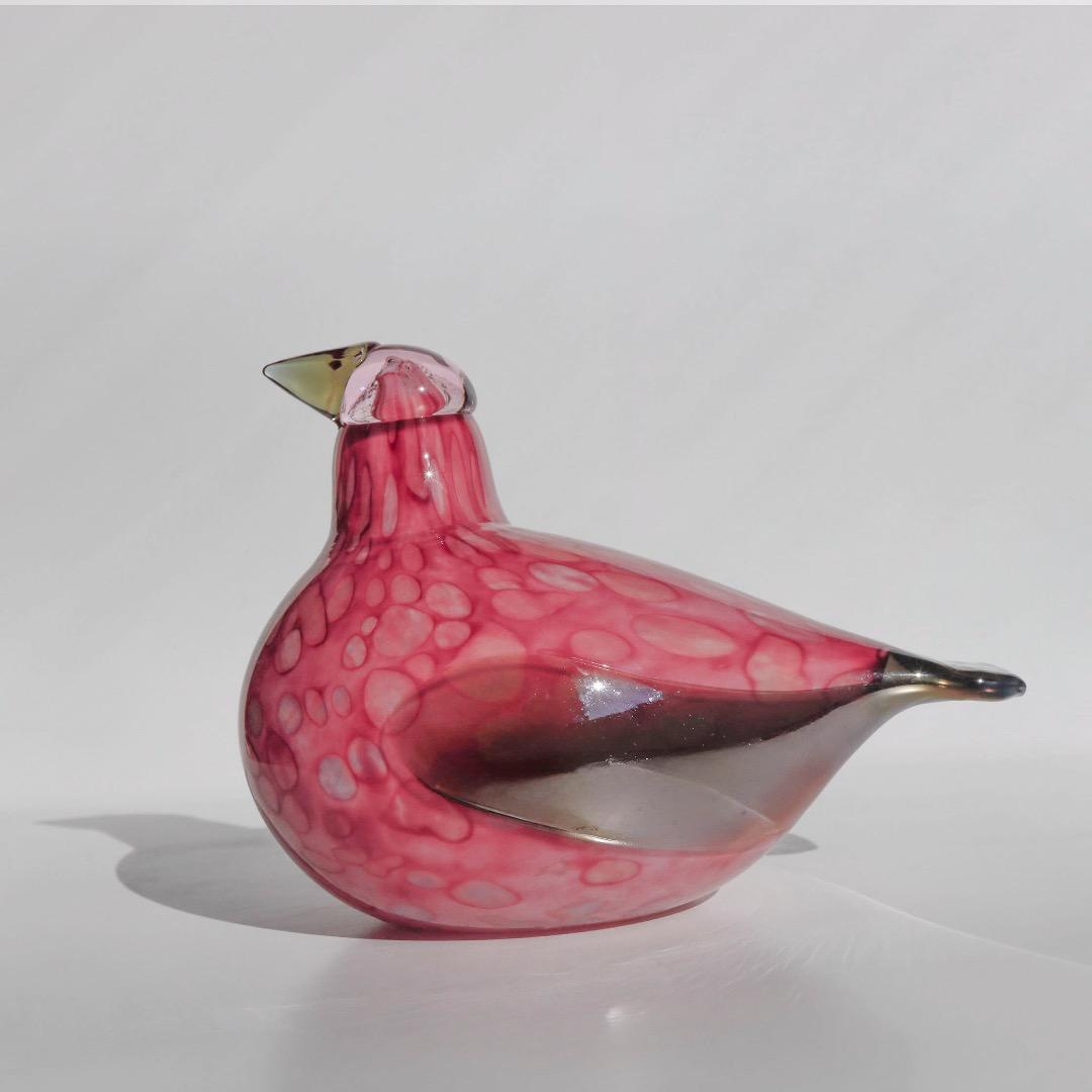 Pine Gross Beak オイバトイッカ　イッタラ　バード　