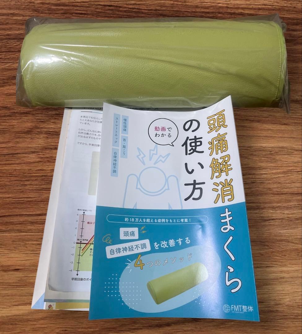 FMT整体頭痛解消枕　新品 頭痛　ストレートネック　自律神経