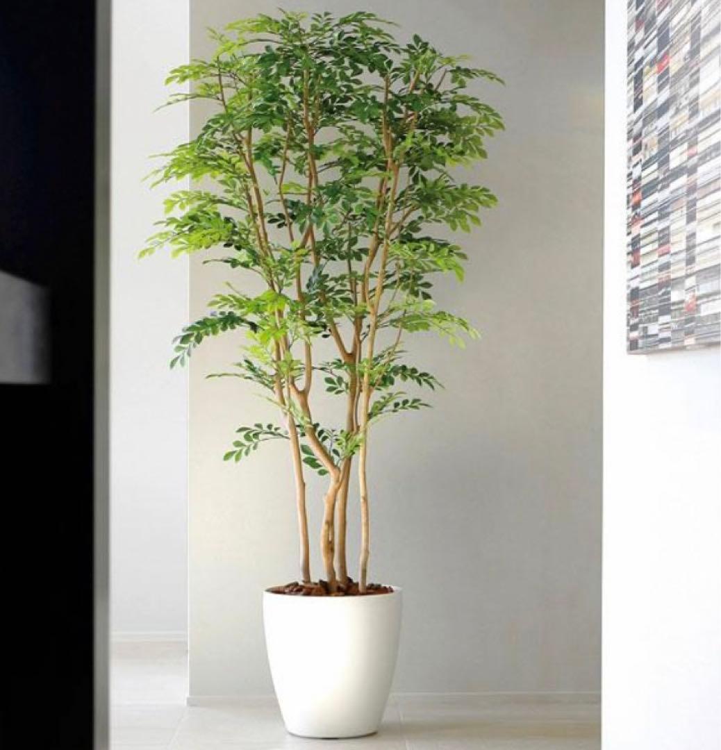 光触媒　人工観葉植物　ウォールグリーン　フェイクグリーン　ツートントネリコ1.8