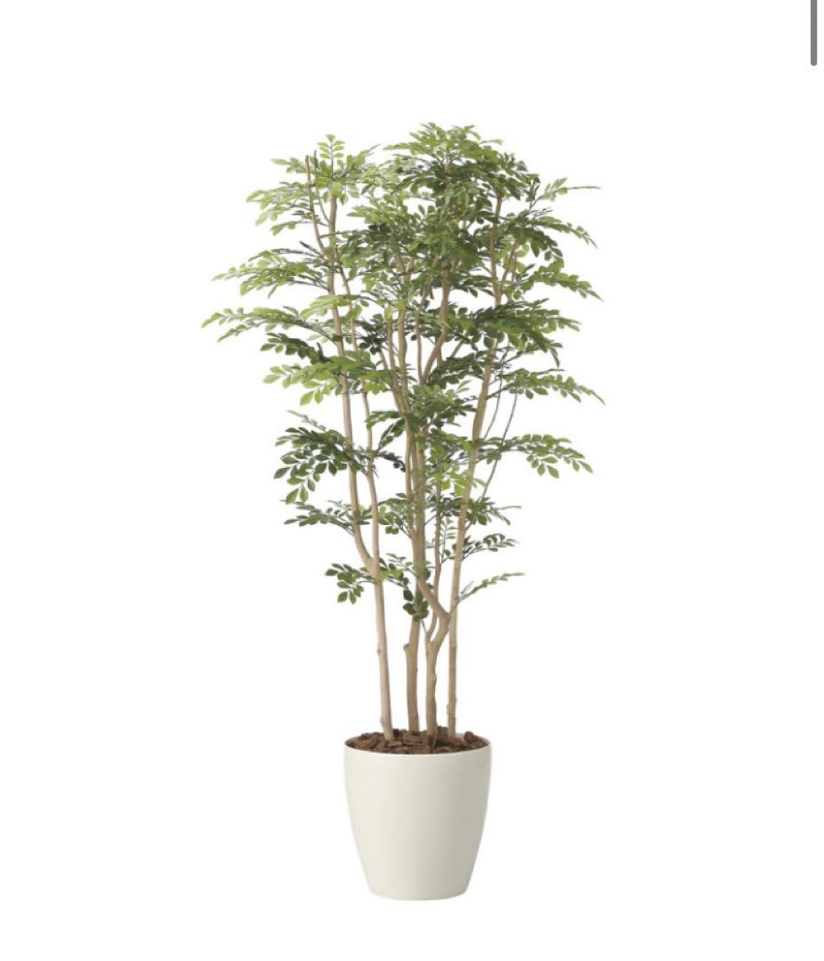 光触媒　人工観葉植物　ウォールグリーン　フェイクグリーン　ツートントネリコ1.8