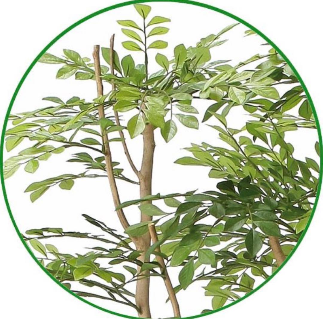光触媒　人工観葉植物　ウォールグリーン　フェイクグリーン　ツートントネリコ1.8