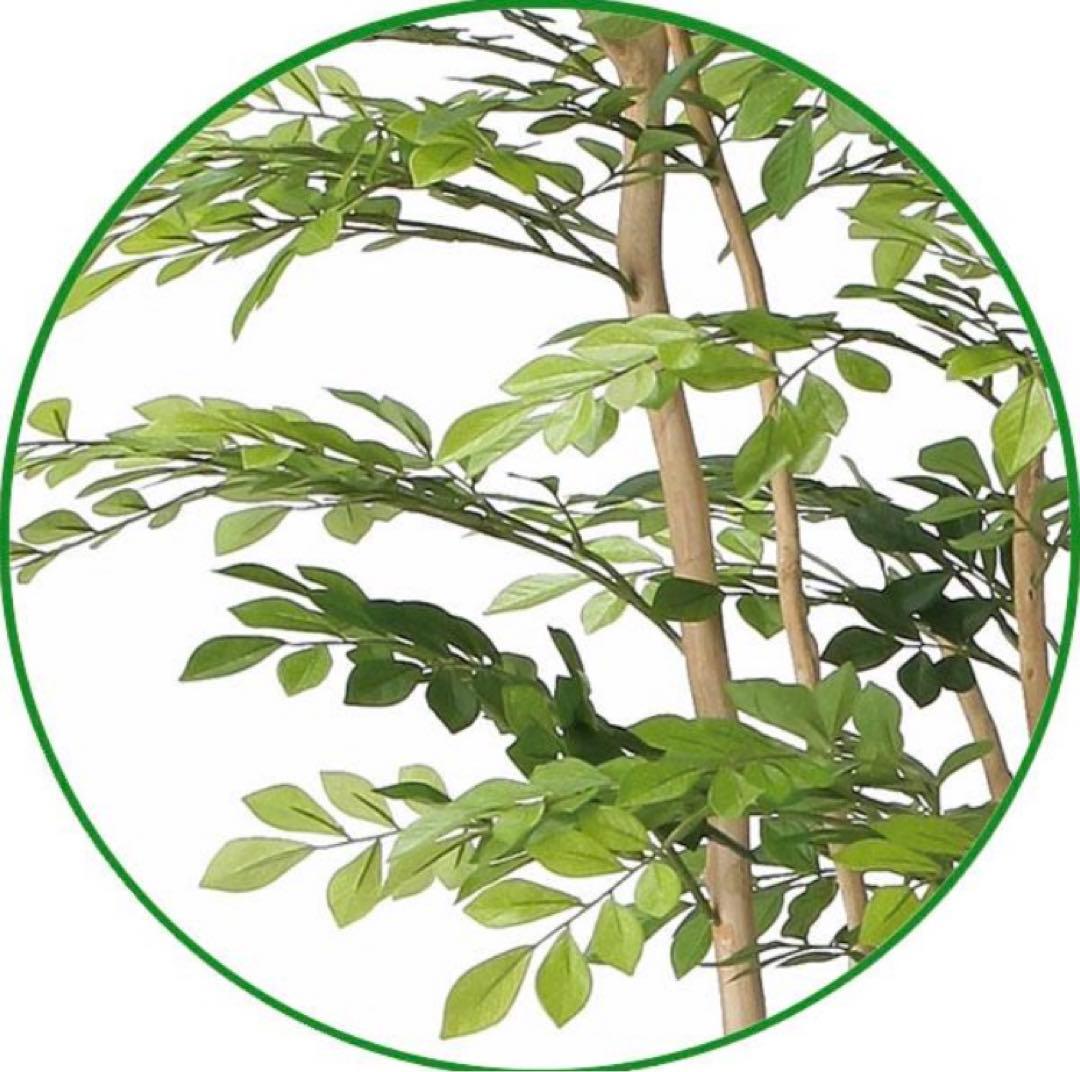 光触媒　人工観葉植物　ウォールグリーン　フェイクグリーン　ツートントネリコ1.8