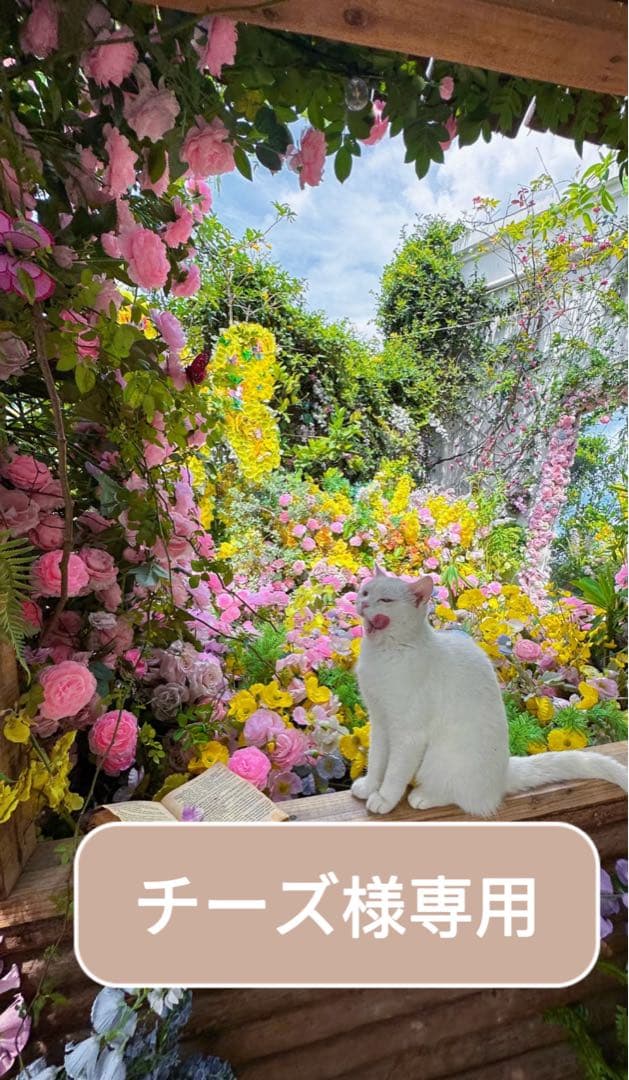 チーズBibiy SHUSHU SKIRT