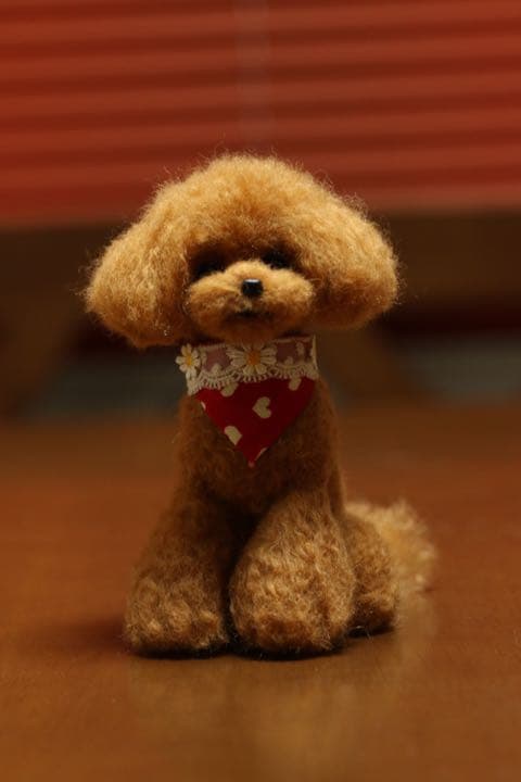 羊毛フェルト　トイプードル(レッド)