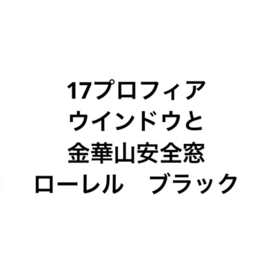 17プロフィア　17レンジャー　ウインドウパネル　安全窓　ローレル　ブラック