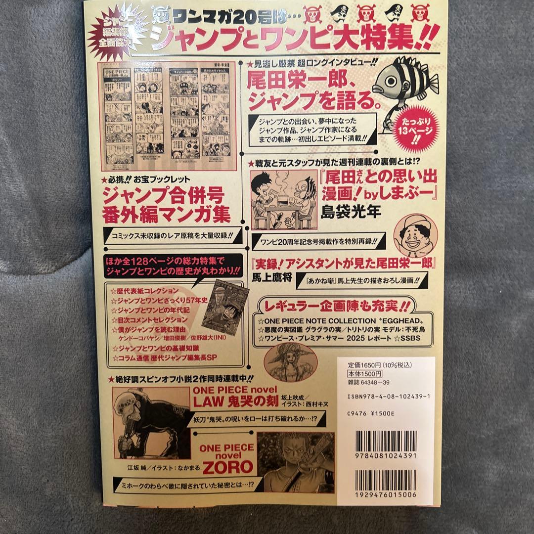 ワンピースmagazine プロモ付き