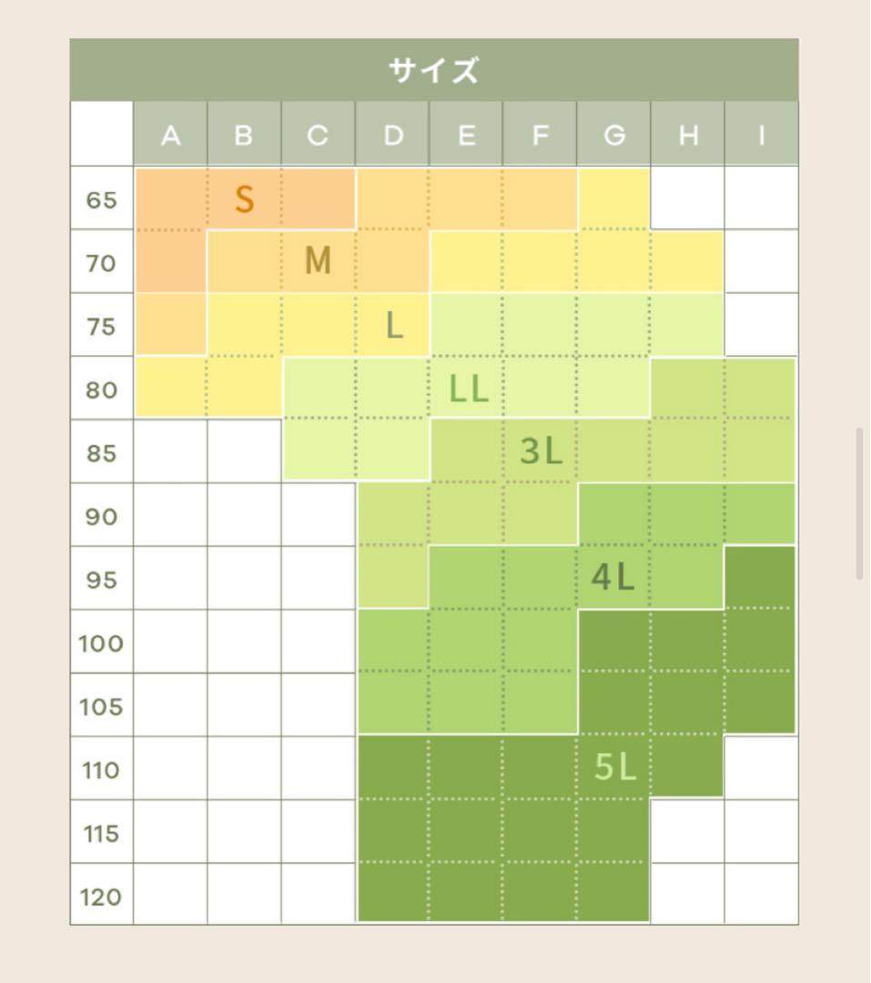 emmerday エマーデイ感動シルエット　ノンワイヤーブラ⭐️3L3枚セット⭐️