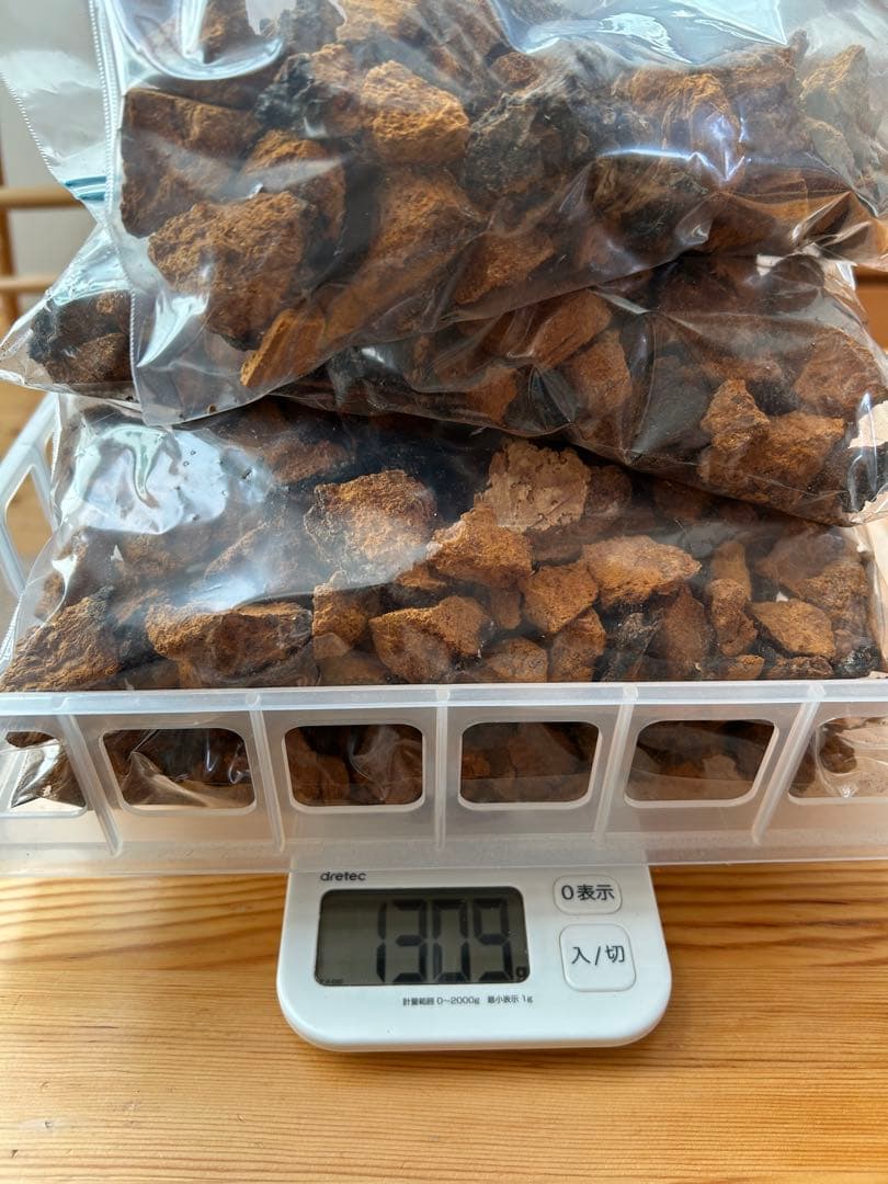 カバノアナタケ（乾燥）北海道・道東産　1.3kg