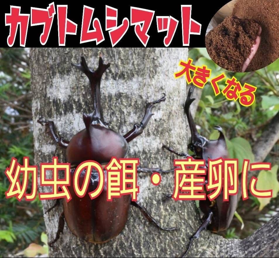 国産カブトムシ幼虫が大きくなる！改良版！発酵マット【たっぷり80リットル入り】