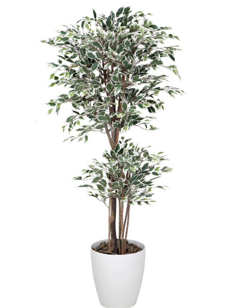 光触媒　人工観葉植物　フェイクグリーン　トロピカルベンジャミン斑入リ 1.6m