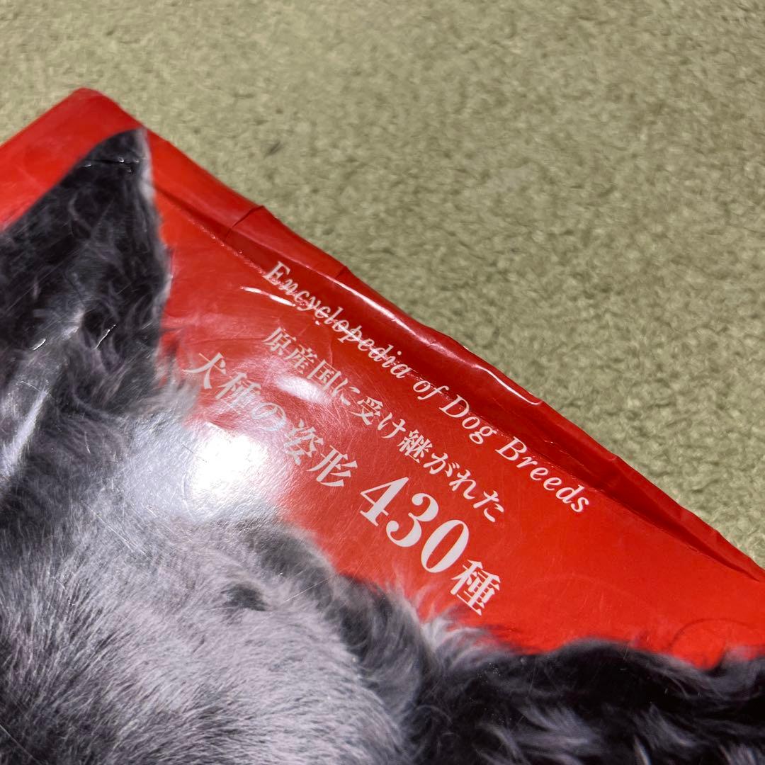 最新 世界の犬種大図鑑