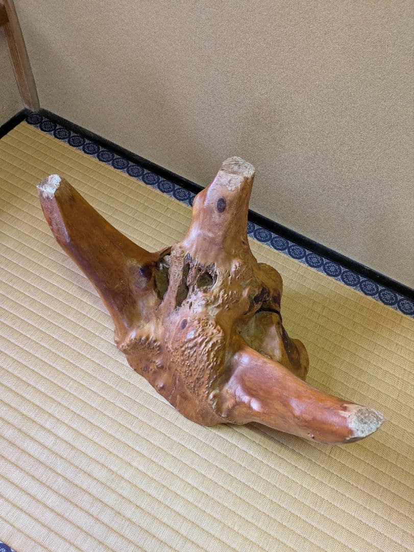古木　インテリア　切り株　飾り台　花台　盆栽台　天然木