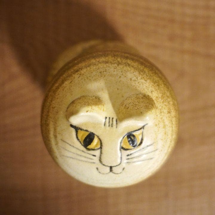 リサラーソン マヤ ブラウン