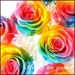 プリザーブドフラワー　レインボーローズの花束