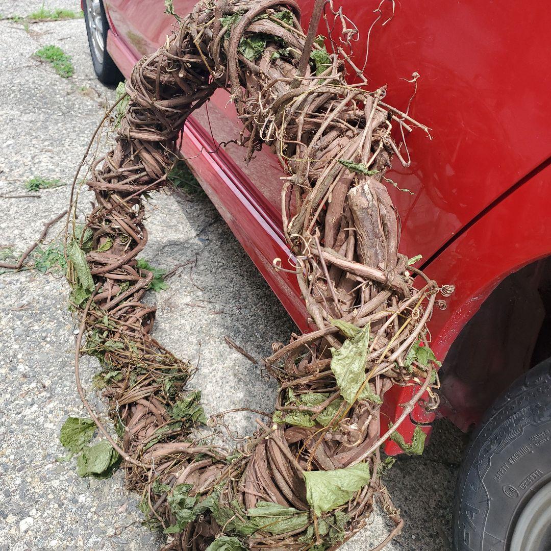 リース　特大サイズ　山葡萄　クリスマス