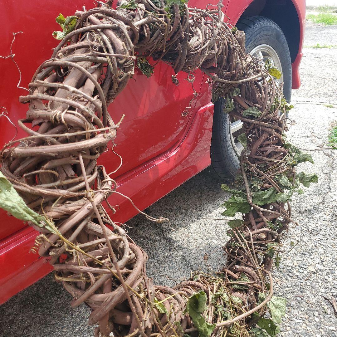 リース　特大サイズ　山葡萄　クリスマス