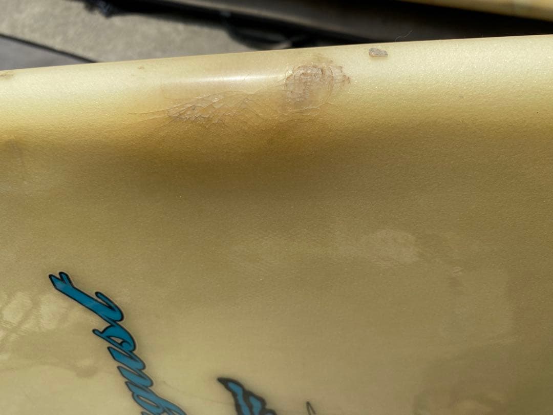 ロバートオーガストロングボードWing Nut 2 沖縄以外送料込ソフトカバー付