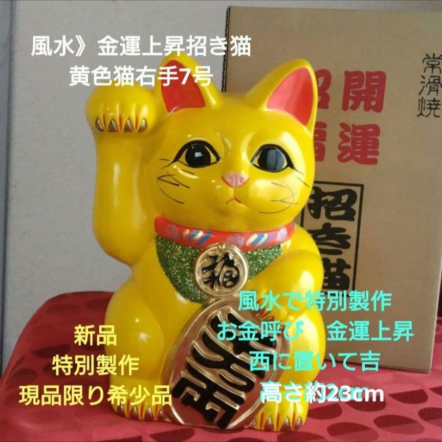 特別値引中✨風水・金運上昇招き猫》黄色猫右手上げ7号 特別注文製作 現品限り