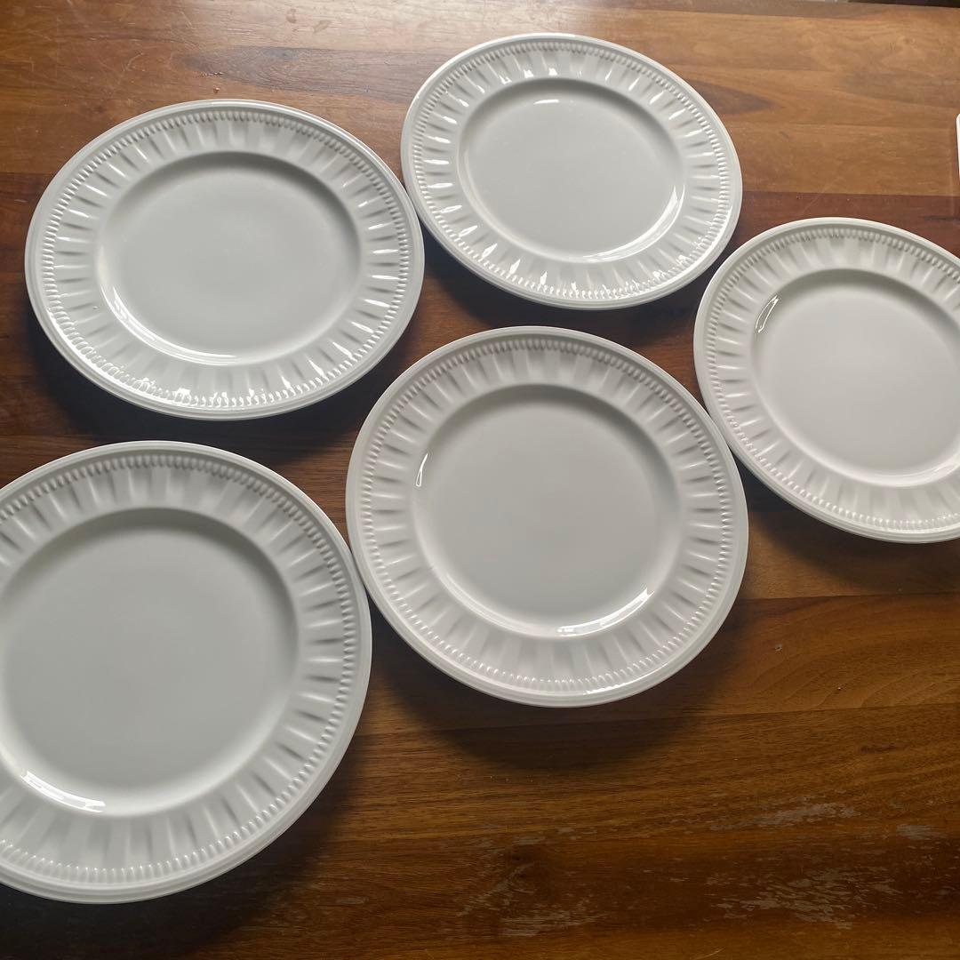  コロシアム27cm 5枚セット