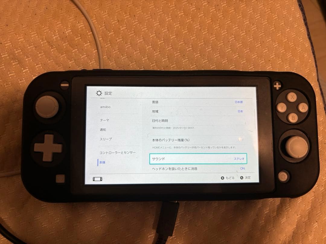 Nintendo Switch Lite グレー カバーつき