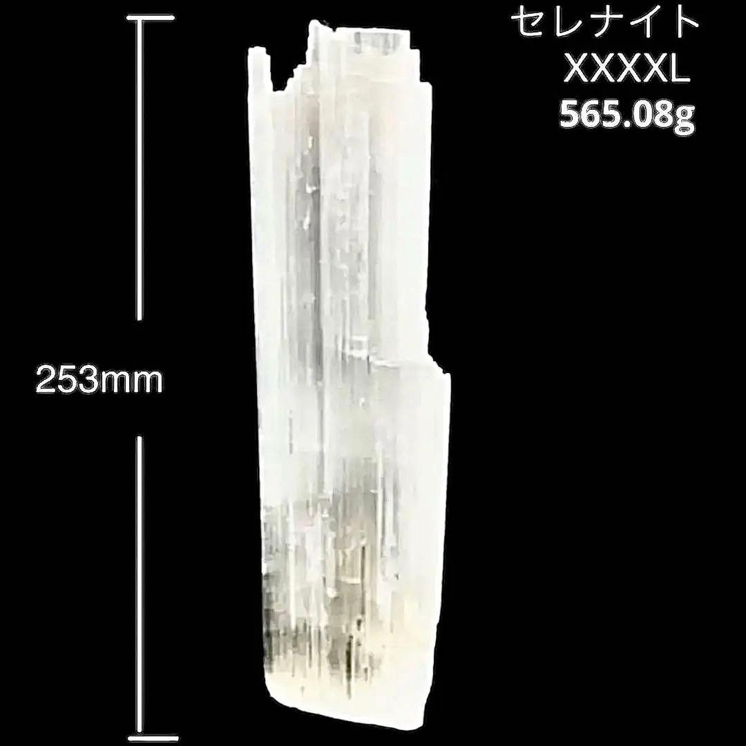 セレナイト　XXXXLサイズ