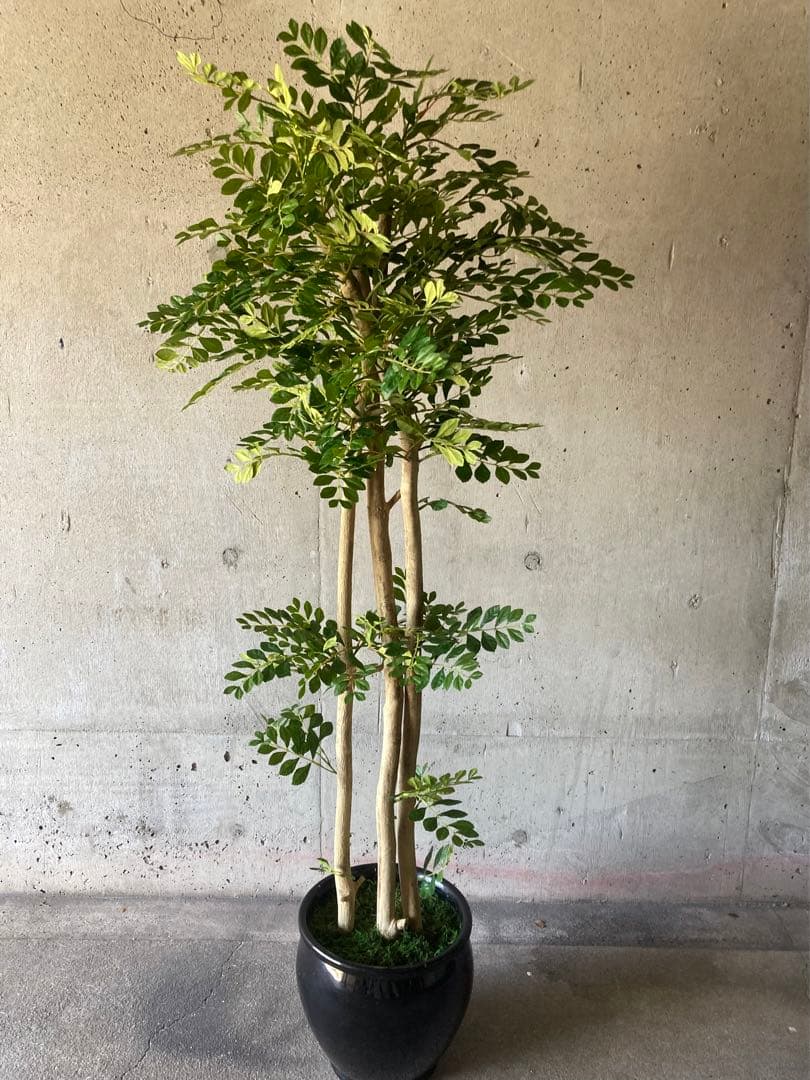光触媒　人工観葉植物　ウォールグリーン　フェイクグリーン　トネリコ16666