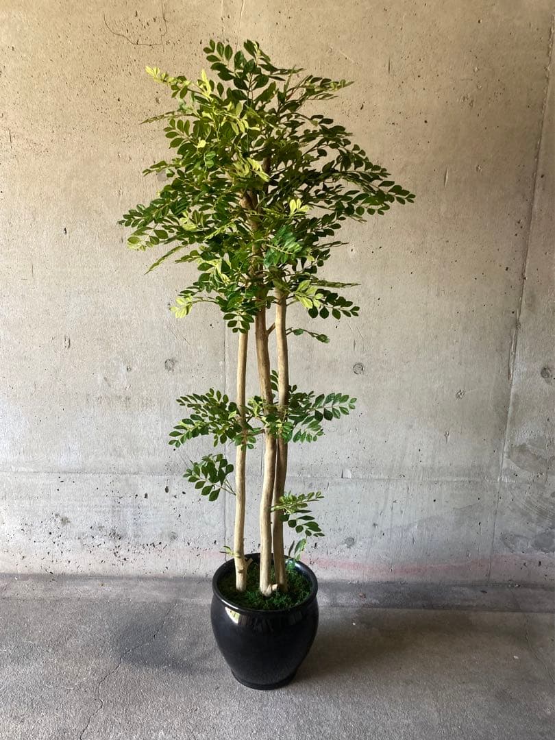 光触媒　人工観葉植物　ウォールグリーン　フェイクグリーン　トネリコ16666