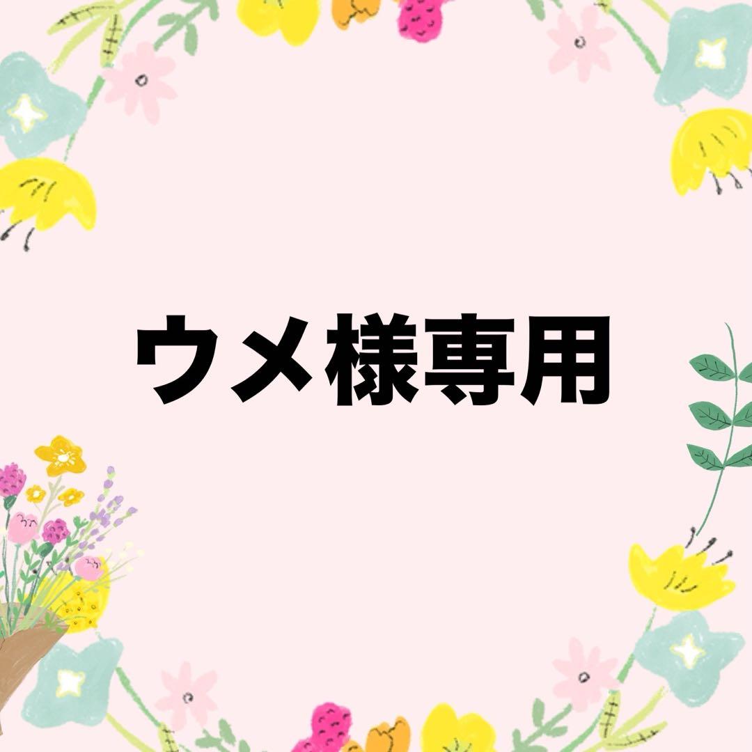 【ウメ】DUALVIEW デュアルビュー　ダウンベスト&パンツ　2点セット