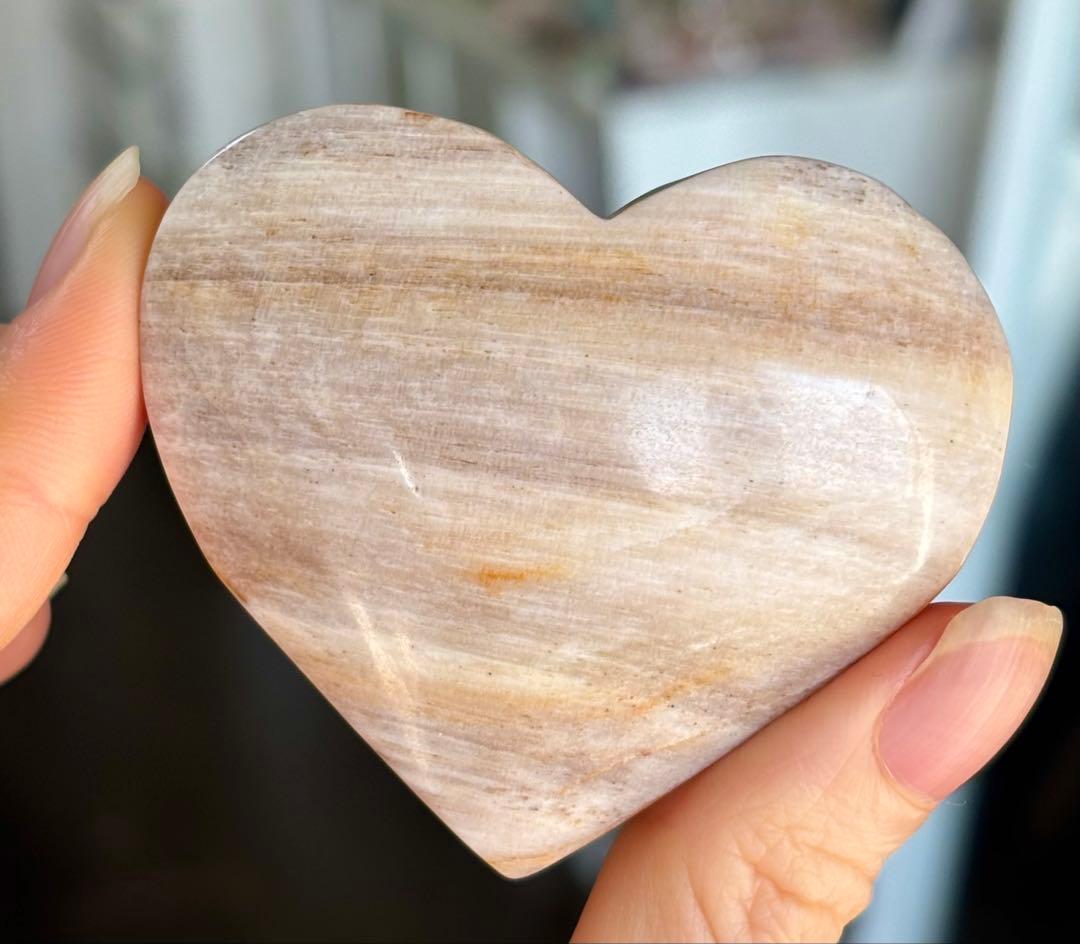 あ〜きゃん♬様　高品質　ペトリファイドウッド　大きめハート　握り石　珪化木