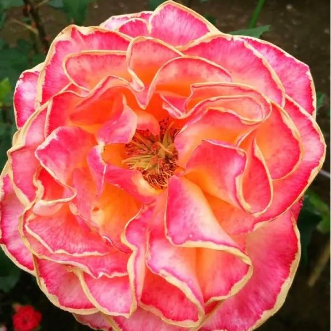 M お知らせ‼️