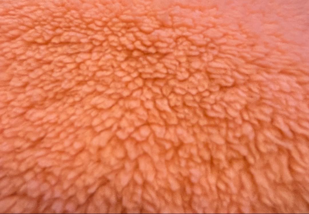 PEARLY GATES ゴルフ⛳️ レディース　防寒　ベスト×ブルゾン