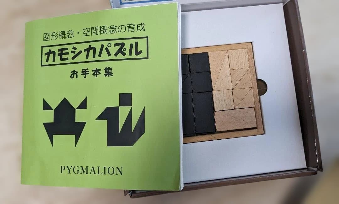 ピグマリオン 知育教材 まとめ売り　幼児から小学生向け