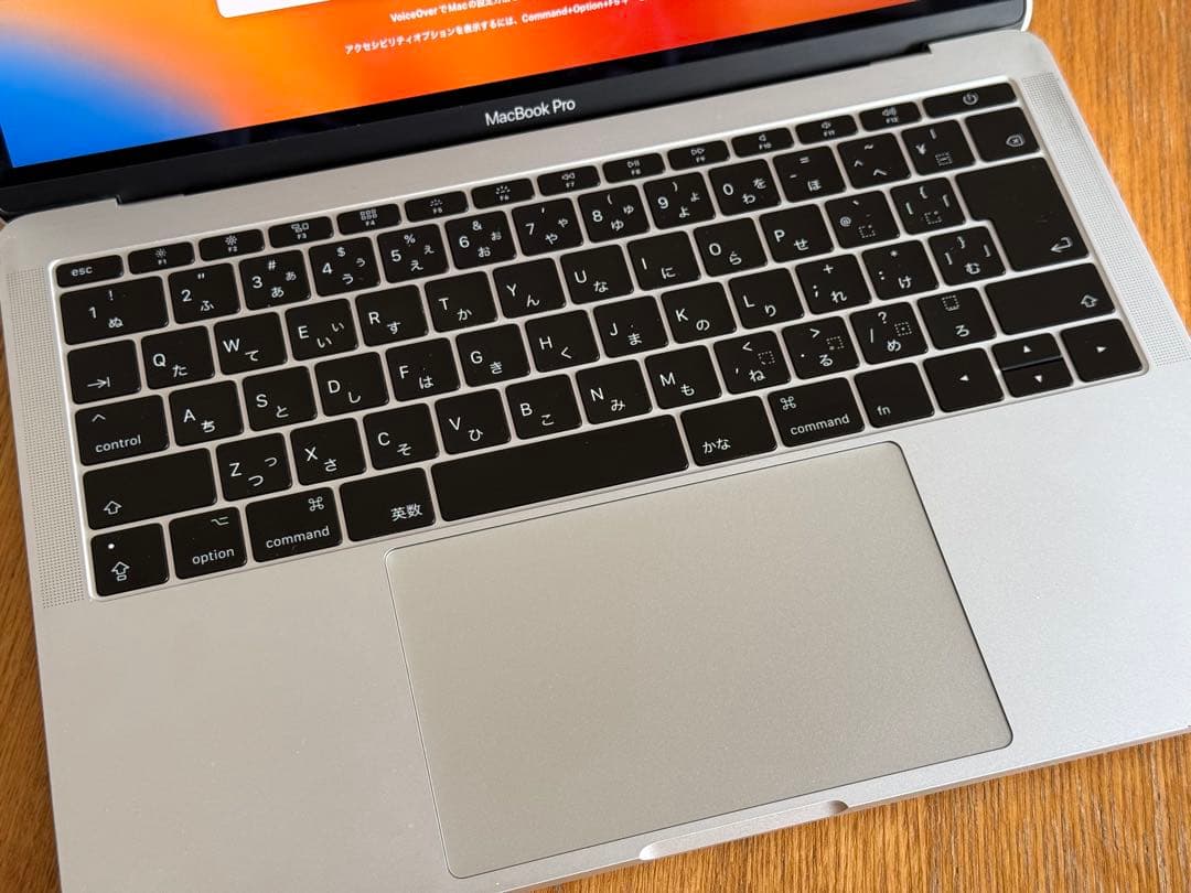 りーにゃんMacBookPro 2017 13インチ（A1708）【難あり