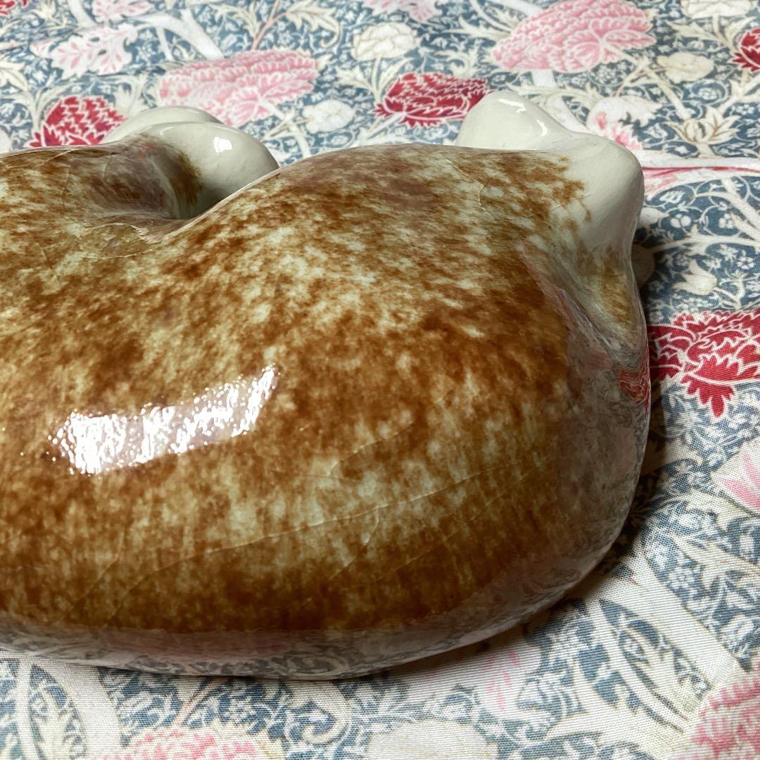 ウィンスタンレイキャットサイズ4の超美人猫SaksFifthAvenue貴重な子