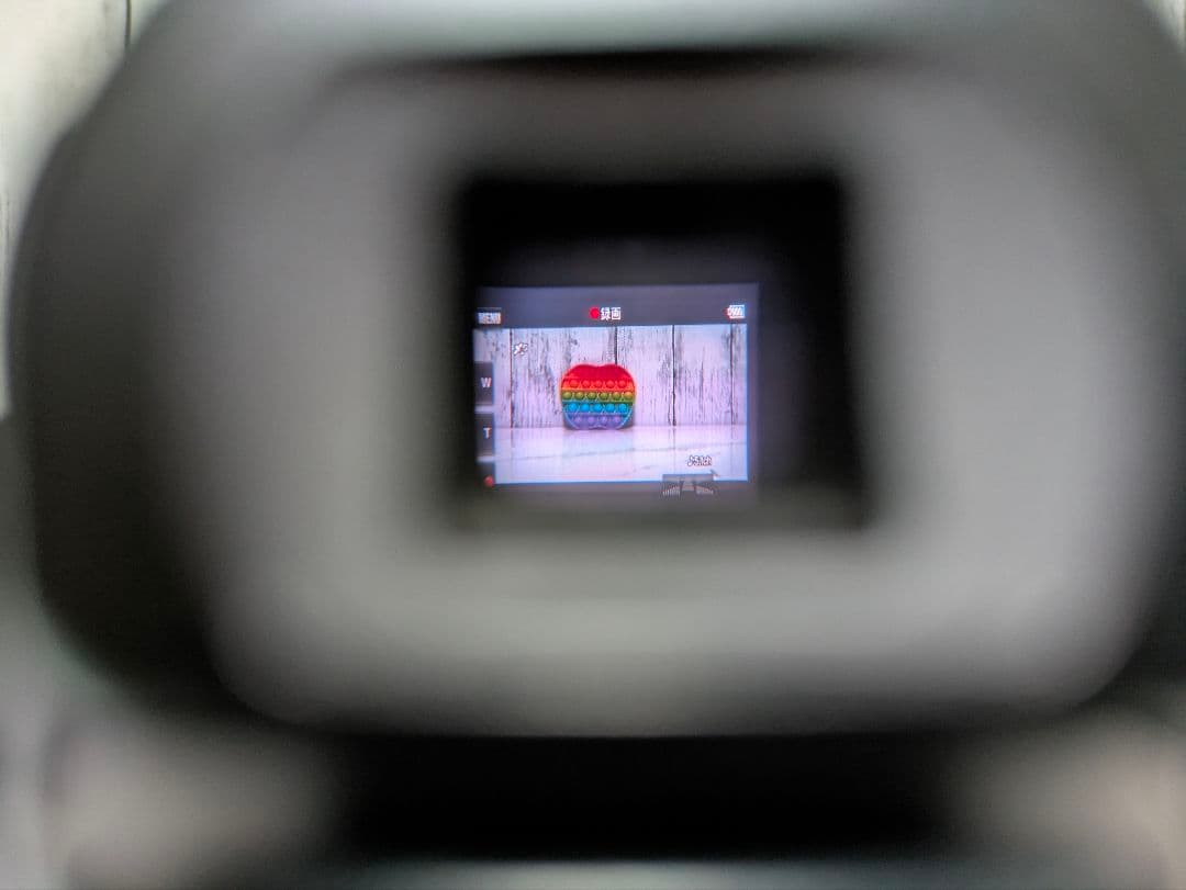 SONY　HDR-PJ790V