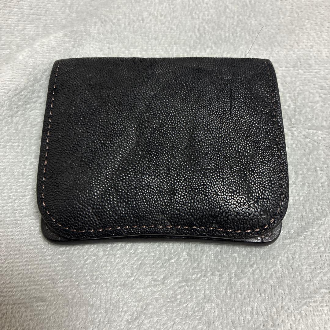 ワイルドスワンズ　パーム　エレファント