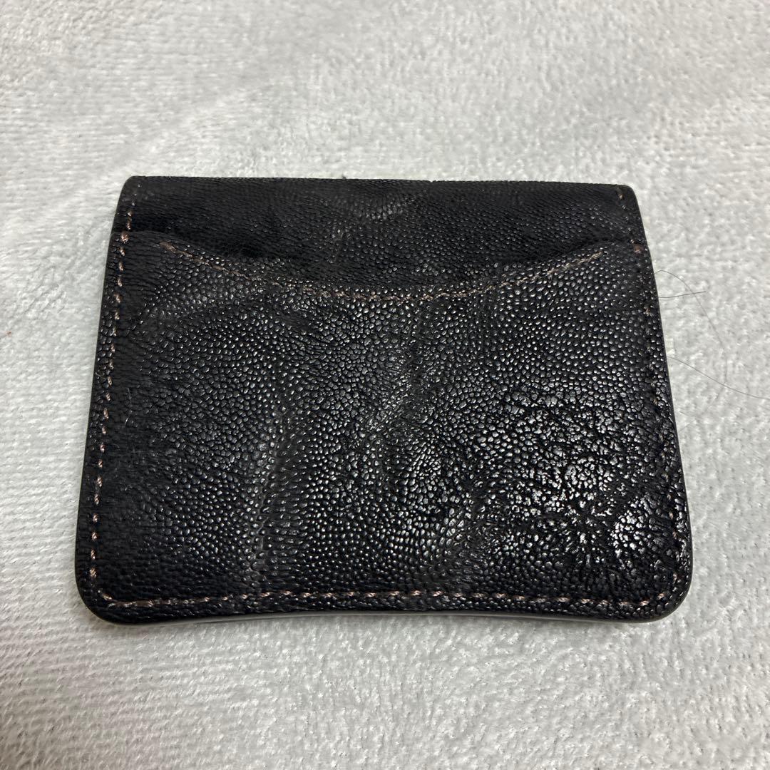 ワイルドスワンズ　パーム　エレファント