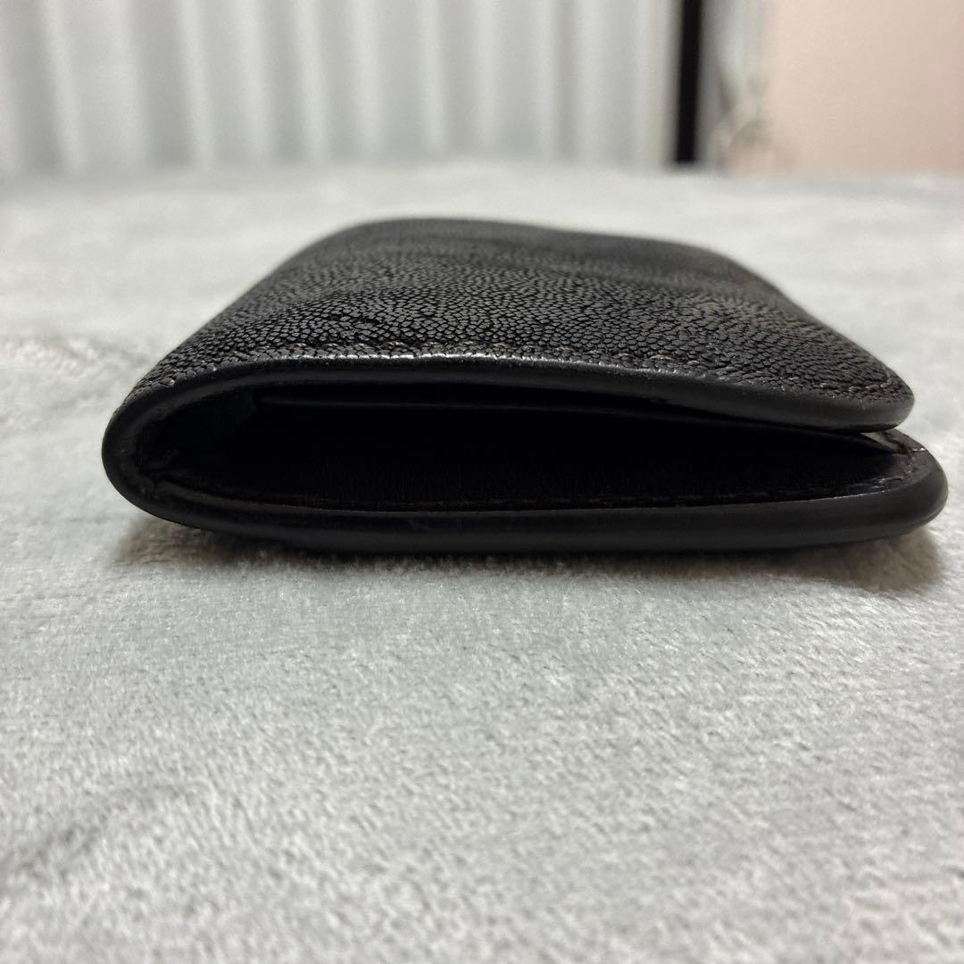 ワイルドスワンズ　パーム　エレファント