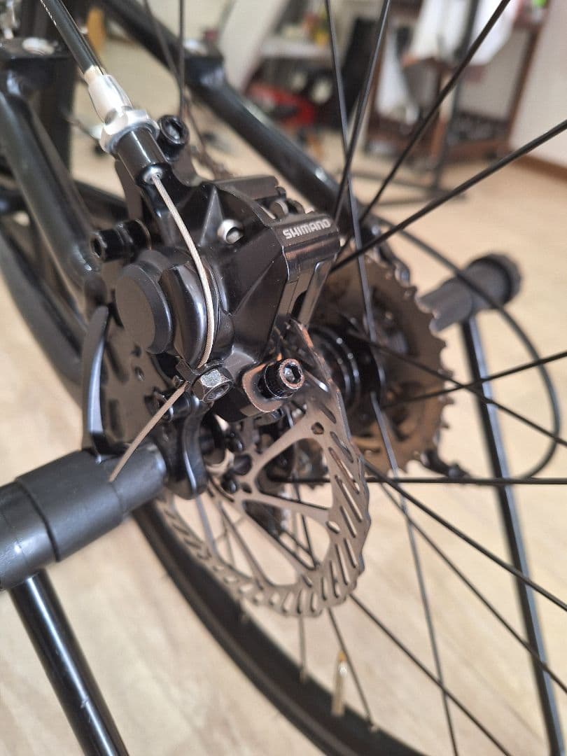 LOUIS GARNEAU ルイガノ MV1改 フルカスタム SORA 2×9