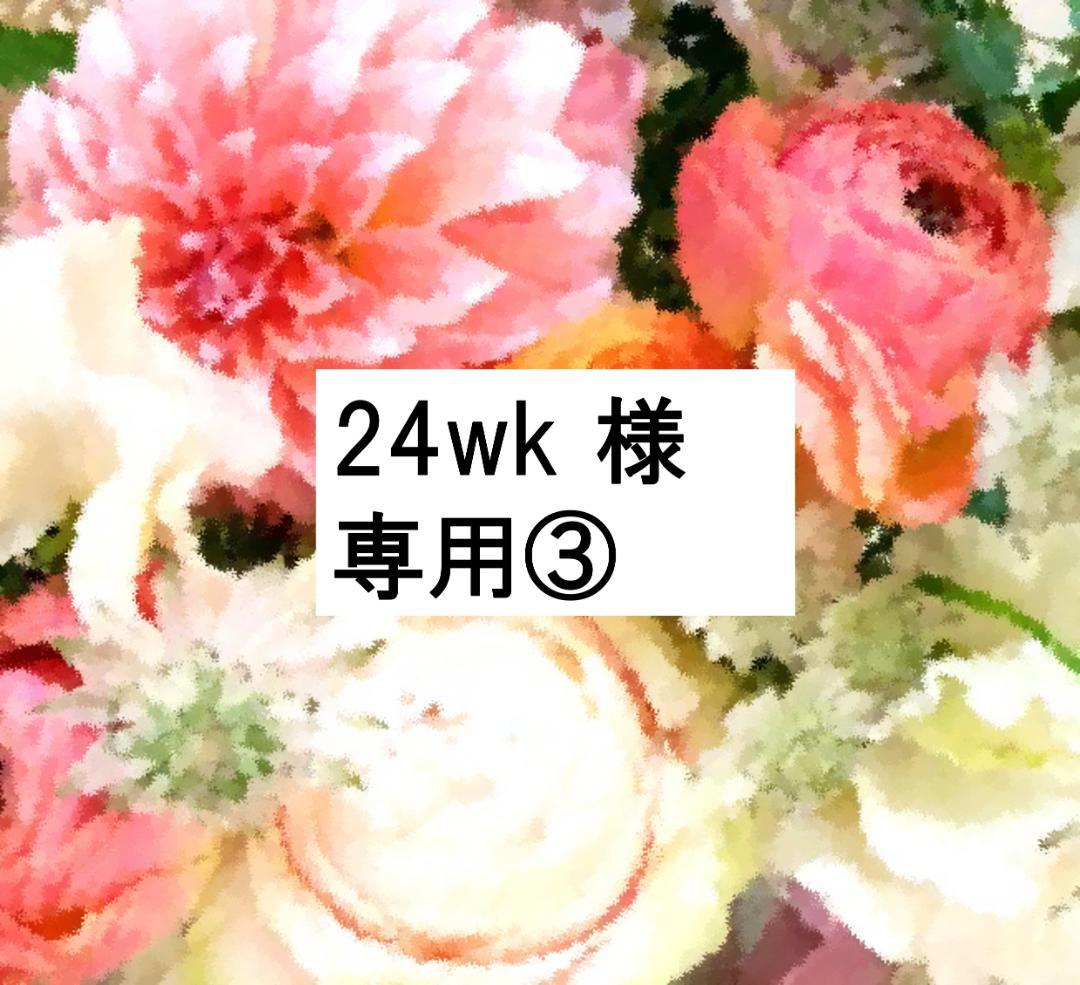 【24wk ③】未開封未使用多数 2024年最新版フルセット DWE