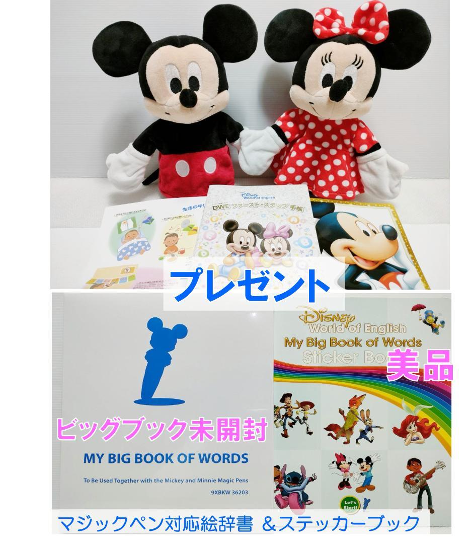 【24wk ③】未開封未使用多数 2024年最新版フルセット DWE