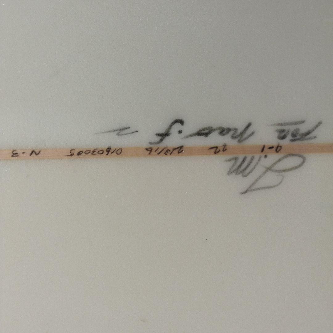 ロングボードサーフィン