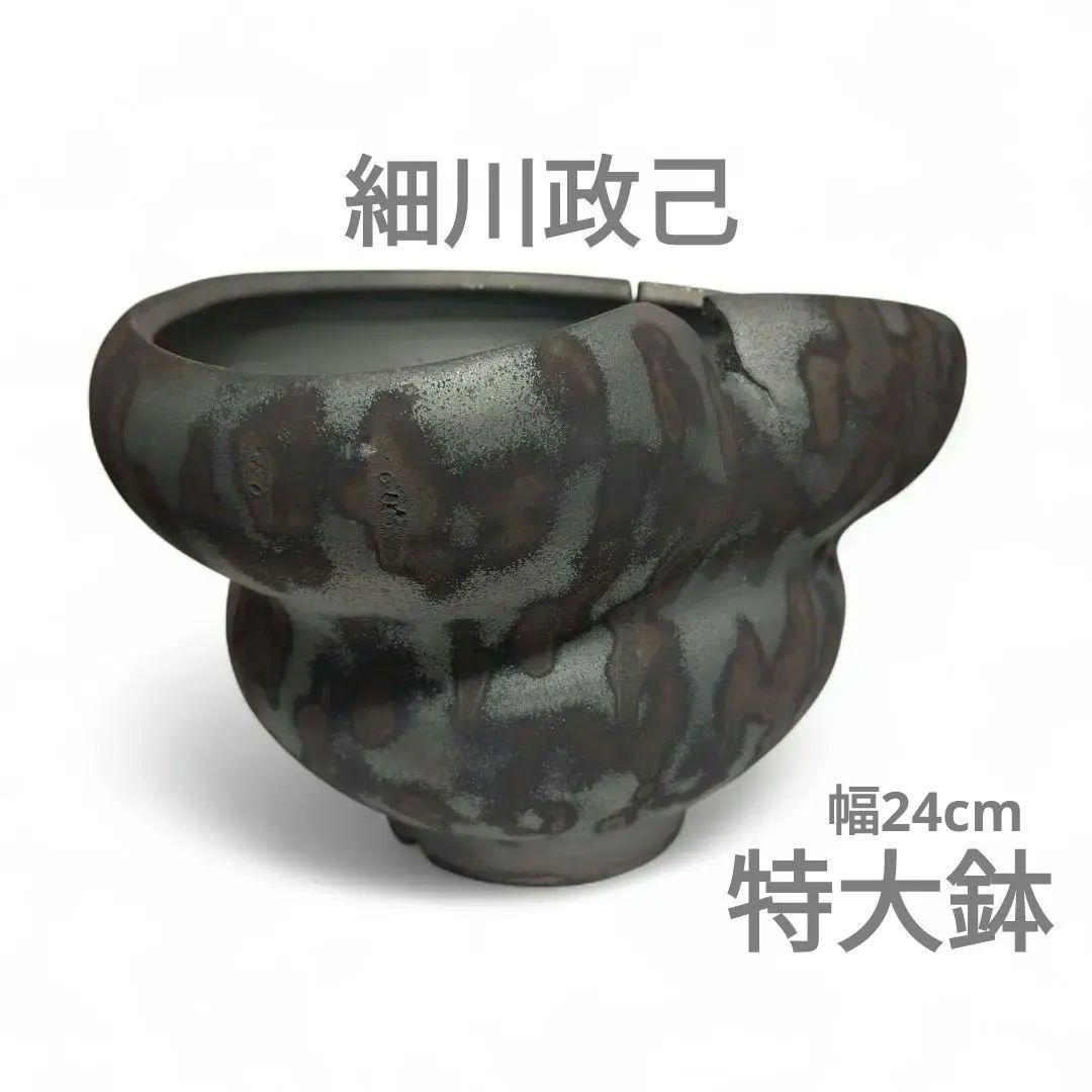 細川政己　特大鉢　ｙ鉢　新品未使用品