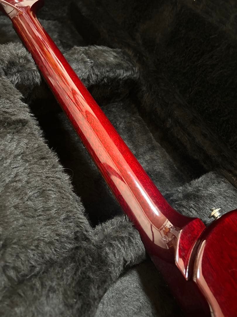 Paul Reed Smith (PRS) STARLA エレキギター