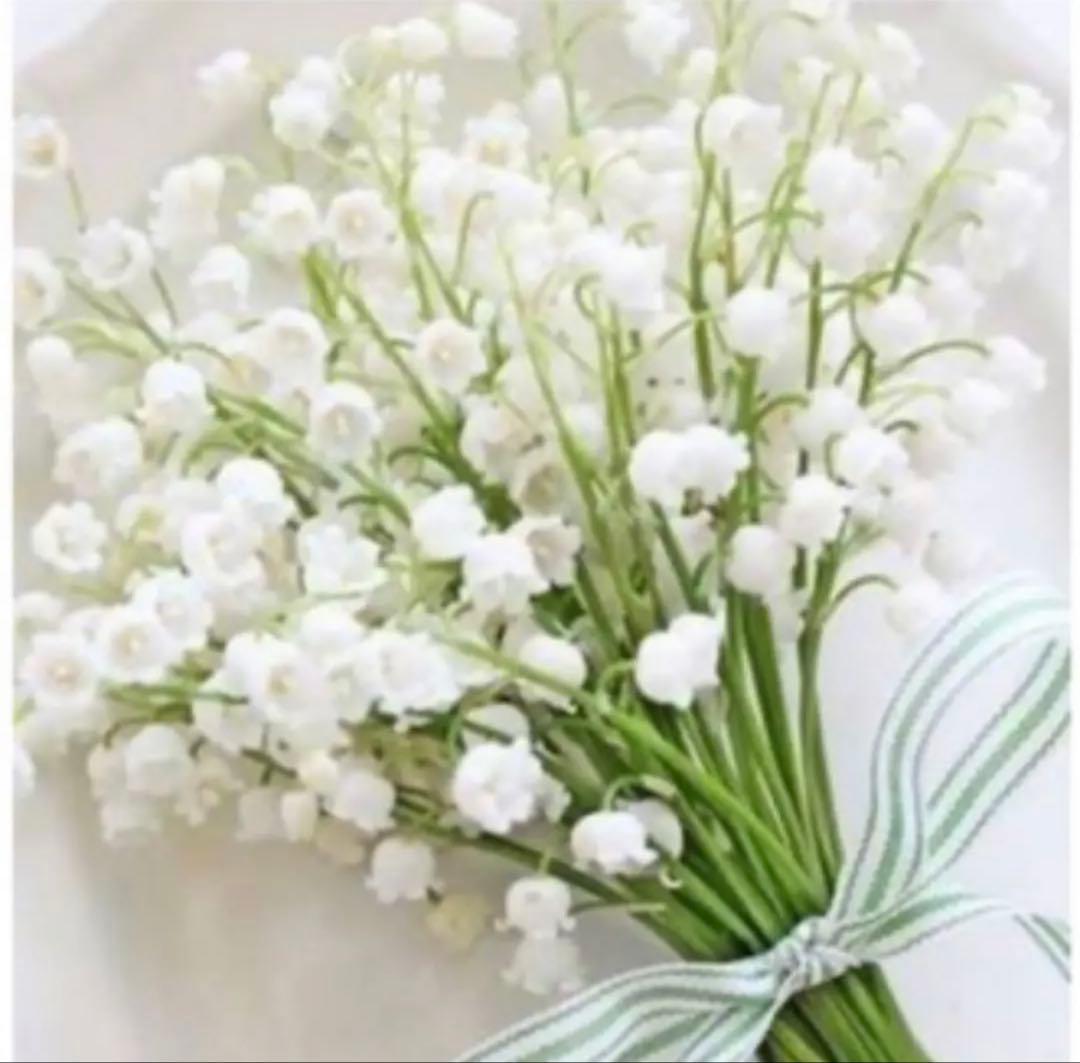 アナベル♡ FOXEY NEW YORK バロンスカート