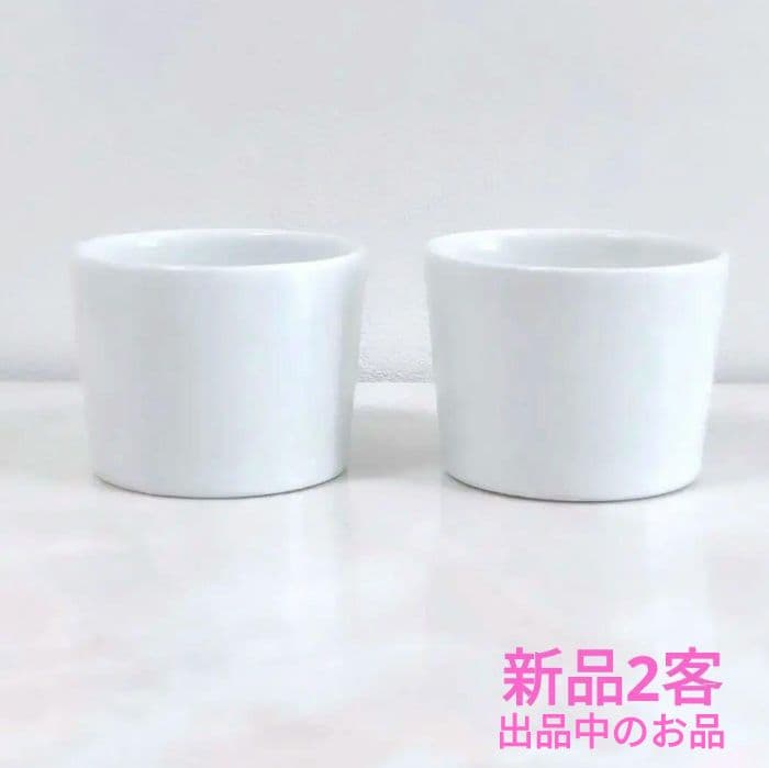 希少 田聡美 葉皿1枚 伊藤聡信剛俊鈴木環金森正起河合竜彦辻和美長野史子岡さつき