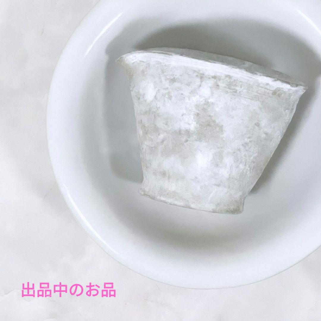 希少 田聡美 葉皿1枚 伊藤聡信剛俊鈴木環金森正起河合竜彦辻和美長野史子岡さつき