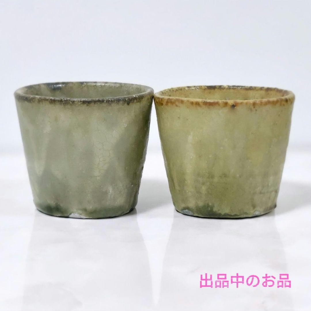 希少 田聡美 葉皿1枚 伊藤聡信剛俊鈴木環金森正起河合竜彦辻和美長野史子岡さつき