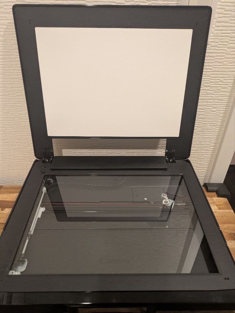 Canon PIXUS TS 8530 印刷枚数 2200枚 管 N8009